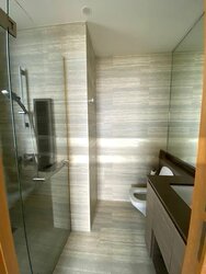 The Crest (D3), Condominium #501876211